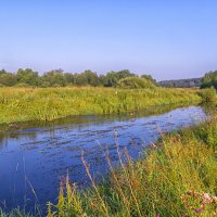 Речка Молокча утром :: Сергей Цветков