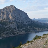 Природа Крыма :: Amazing Cosmea