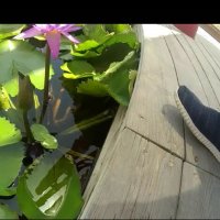 113 (92) :: CLOSE WAYS ALL