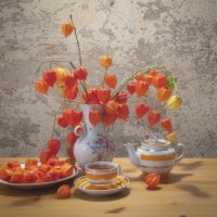 Натюрморт с физалисом. :: Лилия *