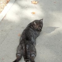 Отдых !!! :: Giant Tao /