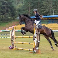 Конкур :: Анатолий Шумилин