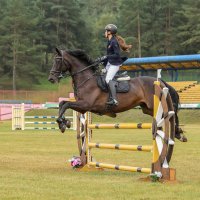 Конкур :: Анатолий Шумилин