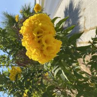 Кипр. Ларнака :: Андрей 