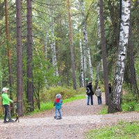 На лесном перепутье.. :: Василий 