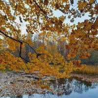 Старый пруд :: Хватова Марина 