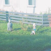 Осёл и гномик. :: Игорь Солдаткин