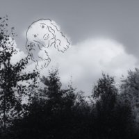 Облака проплывают мимо... :: liudmila drake