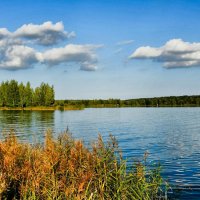 Осенний пейзаж. :: Милешкин Владимир Алексеевич 
