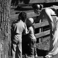 .... :: Юрий Самсонов