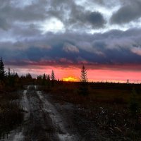 Закат в тундре :: Игорь Шабалин