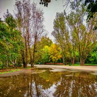 Сентябрь :: Dmitry i Mary S Сентябрь :: Dmitry i Mary S