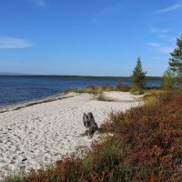 Осенними тропинками :: Ольга 