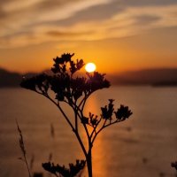 Солнечная дорожка :: Мария Яковлева