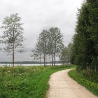 Дорога к Часовне Преподобного Антония Дымского :: Александр Ильчевский 