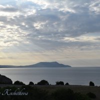 Природа Крыма :: Amazing Cosmea