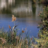 ** :: Vlad Сергиевич ** :: Vlad Сергиевич