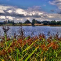 Деревенский пруд :: Наталья Лакомова Деревенский пруд :: Наталья Лакомова