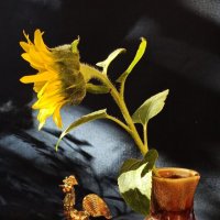 И вновь шепчу в рассветный час:"И я, и я одна из вас" :: veilins veilins И вновь шепчу в рассветный час:"И я, и я одна из вас" :: veilins veilins