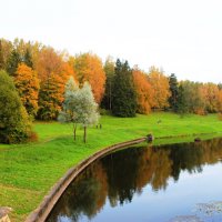 Осень в Павловском парке :: Хватова Марина 