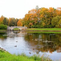 Осенние мотивы :: Хватова Марина 