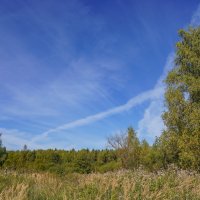 В поле... :: Владимир Жданов