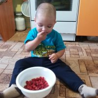 ВКУСНАЯ МАЛИНА :: СЕРГЕЙ ФИЛОЧКИН