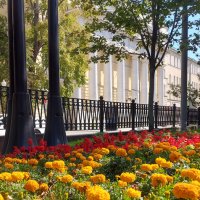 Лето в Москве. :: Владимир Безбородов