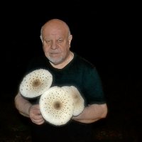 С грибами. :: Михаил Столяров