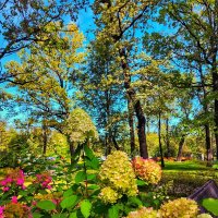 **** :: Алексей Архипов