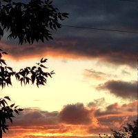 закат :: светлана льдокова