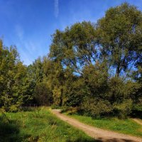 Бабье лето продолжается :: Андрей Лукьянов