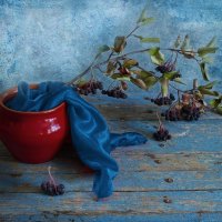 красный горшочек :: Наталья S