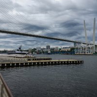 ... :: Жора Житников