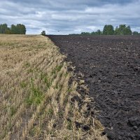 И один в поле воин... :: Владимир Хиль