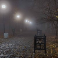 Аллея в тумане :: Константин Бобинский