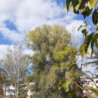 Сентябрь :: Елена Семигина Сентябрь :: Елена Семигина