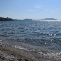 Природа Крыма :: Amazing Cosmea