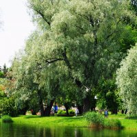 /// :: Виктор Никитенко /// :: Виктор Никитенко