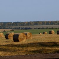 Формы природы. :: Александр Кондаков