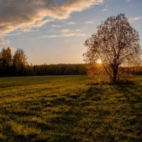 на закате :: Владимир Зеленцов