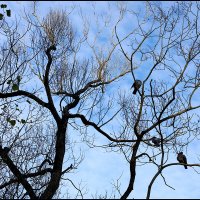 Сентябрь :: Сергей Премонишын Сентябрь :: Сергей Премонишын