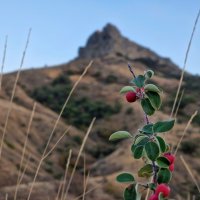 Крым. :: Мария Яковлева