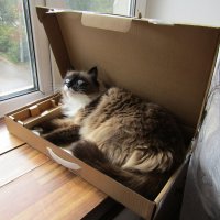 Вместо ноутбука... :: Galaelina ***