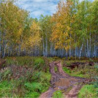 **** :: Алексей Мезенцев **** :: Алексей Мезенцев