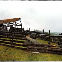 --- :: Сергей Капицин --- :: Сергей Капицин