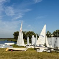 «Суши весла!» :: Арина Невская