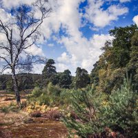 **** :: Андроник Александр **** :: Андроник Александр
