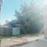 Позиция лета, :: Игорь Солдаткин