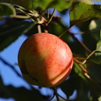 Сентябрь :: краснов юрий 